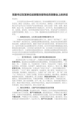 在巡察整改督导动员部署会上的讲话