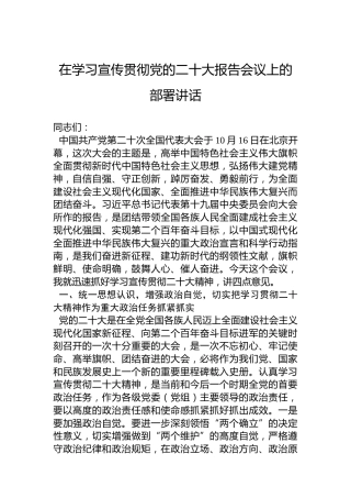 在学习宣传贯彻二十大报告会议上的部署讲话4100字
