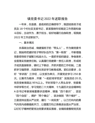 乡镇党委书记2022年述职报告2500字