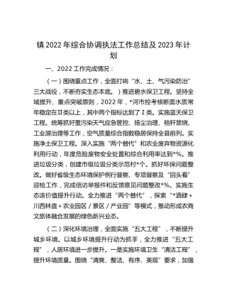 乡镇2022年综合协调执法工作总结