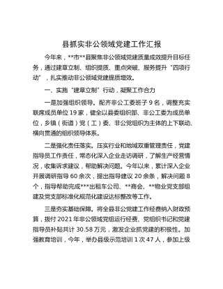 县抓实非公领域党建工作汇报