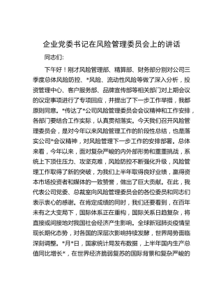 在风险管理委员会上的讲话（公司）