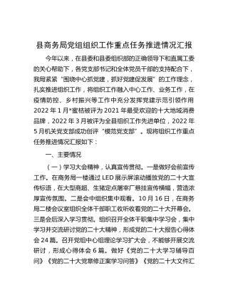 县商务局组织工作重点任务推进情况汇报