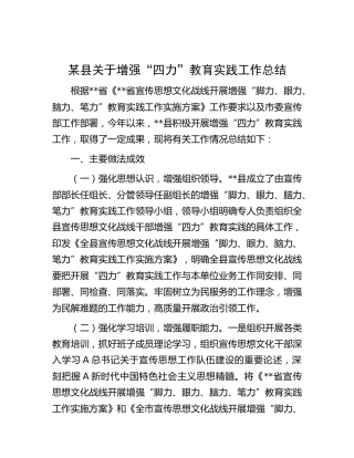 县区增强“四力”教育实践工作总结