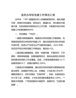 县区民办学校党建工作情况汇报