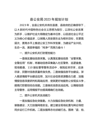 县公安局2023年工作计划1100字