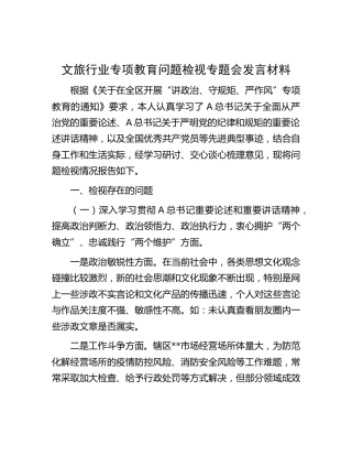 文旅行业专项教育问题检视情况总结报告