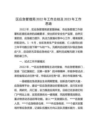 应急系统2022年工作总结及2023年工作思路