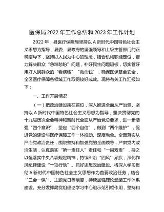 医保局2022年工作总结和2023年工作计划4700字