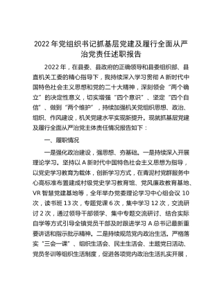 书记抓基层党建及履行全面从严治党责任述职报告2700字