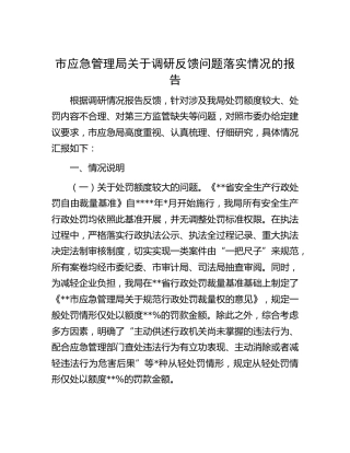 市应急管理局关于调研反馈问题落实情况的报告[调研报告参考]
