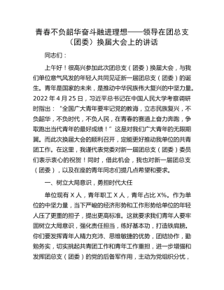 在团总支（团委）换届大会上的讲话