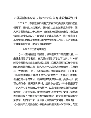 市委巡察机构党支部2022年自身建设情况汇报（党建总结）
