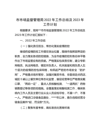 市市场监管局2022年工作总结及2023年工作计划
