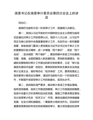 在审计委员会会议上的强调讲话