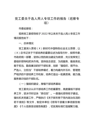 选人用人专项工作总结报告（巡察专项）
