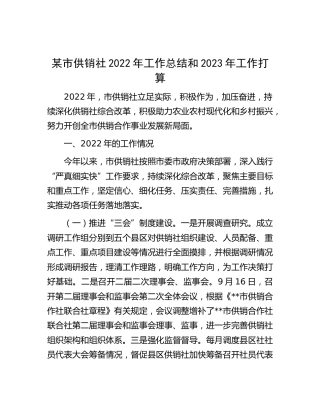 市供销社2022年工作总结和2023年工作打算