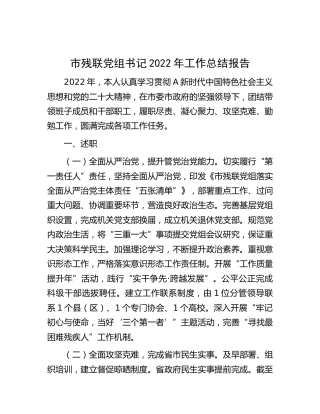 市残联党组书记2022年工作总结报告（述职）