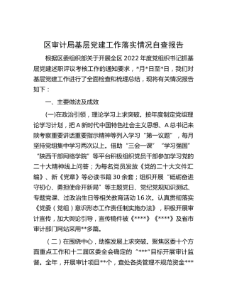 审计局党建工作落实情况自查总结报告4100字