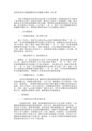 县医保局民生领域腐败和作风问题集中整治工作汇报