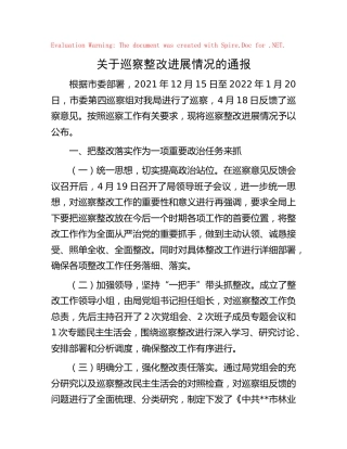 巡察整改进展情况的总结汇报