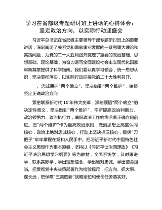 学习在省部级专题研讨班上讲话的心得体会：坚定政治方向，以实际行动迎盛会