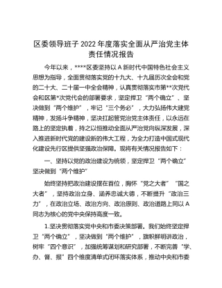 区委领导班子2022年度落实全面从严治党主体责任情况报告（1万字）
