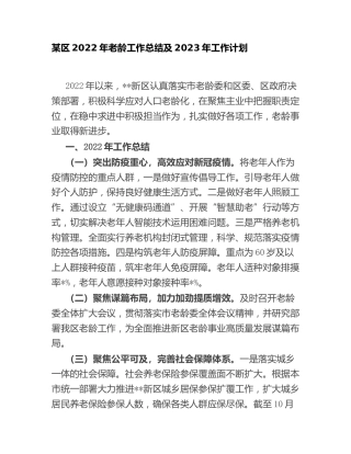 县区2022年老龄工作总结及2023年工作计划（老年）