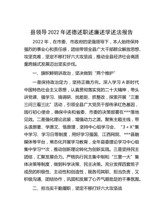 县领导2022年述德述职述廉述学述法报告2600字