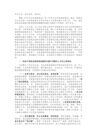 县监察委员会开展粮食购销领域腐败问题专项整治工作情况的报告