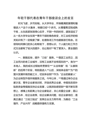 年轻干部代表在青年干部座谈会上的发言 (3)