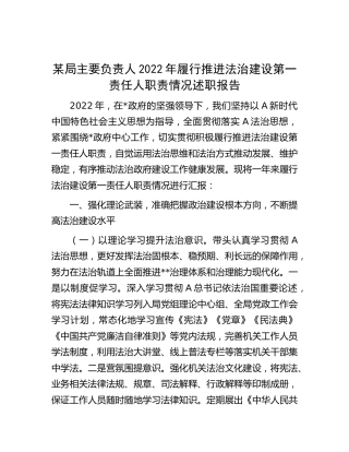履行推进法治建设第一责任人职责情况述职报告