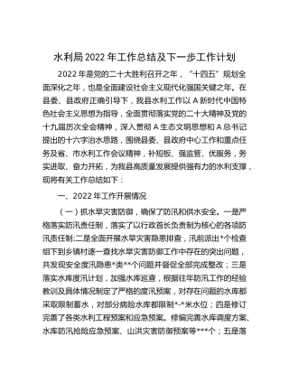 水利局2022年工作总结