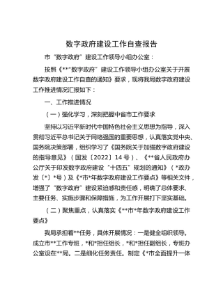 数字政府建设工作自查报告
