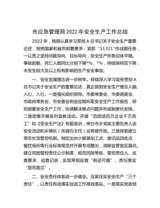 市应急管理局2022年安全生产工作总结 (2)