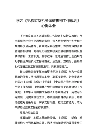 学习《纪检监察机关派驻机构工作规则》心得体会