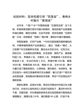 经验材料：坚持党建引领“筑堡垒”，奏响乡村振兴“最强音”