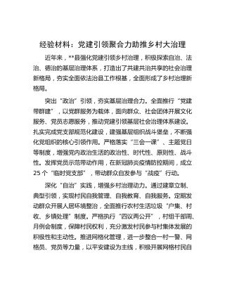经验材料：党建引领聚合力 助推乡村大治理