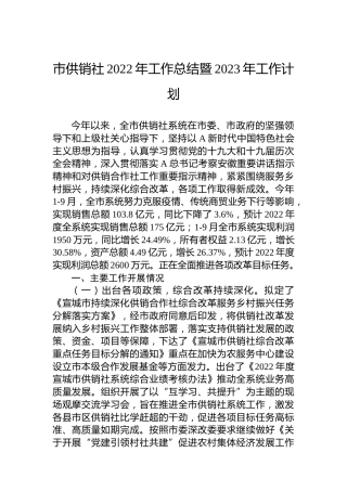 市供销社2022年工作总结
