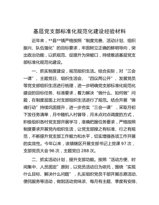 基层党支部标准化规范化建设经验材料