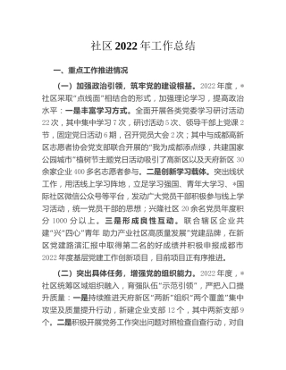 社区2022年工作总结（村）