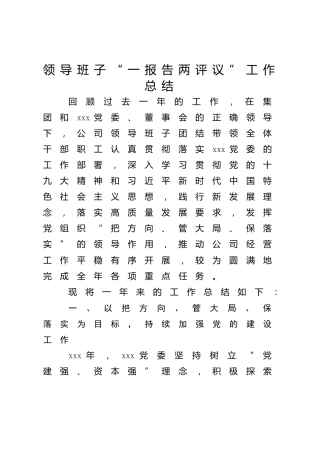 国企公司领导班子“一报告两评议”工作总结2300字