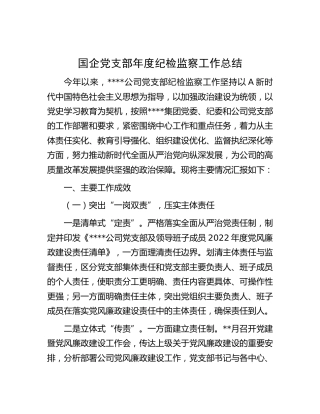 国企公司党支部年度纪检监察工作总结