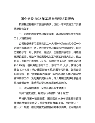 国企公司党委2022年基层党组织党建述职报告2600字