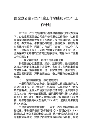 国企公司办公室2022年度工作总结及2023年工作计划