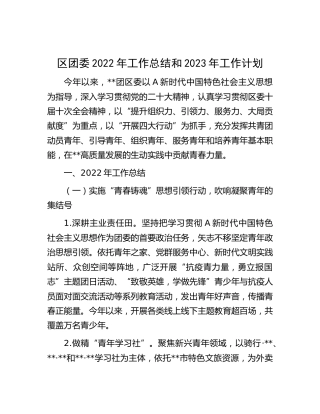 区团委2022年工作总结