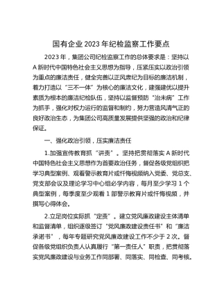 国企公司2023年纪检监察工作要点