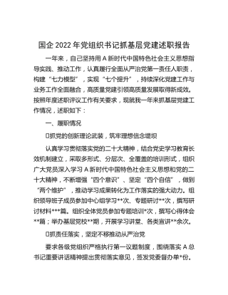 国企公司2022年党组织书记抓基层党建述职报告