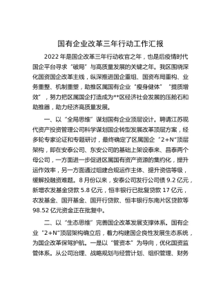 国企改革三年行动工作汇报