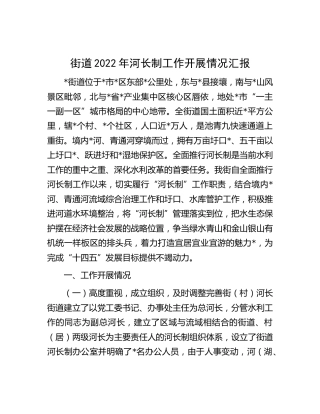街道2022年河长制工作开展情况汇报（乡镇）